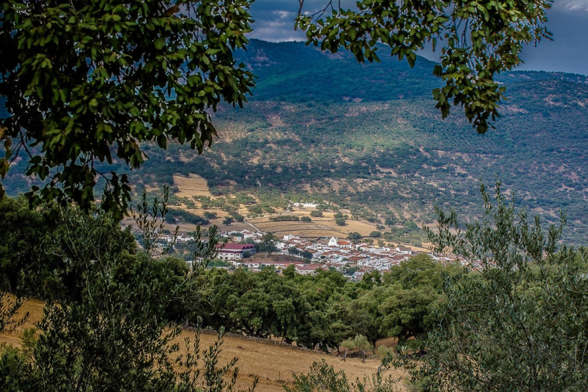 Arroyomolinos acoge el curso de la UNIA ‘RURAL 2030. Nuevos Liderazgos para la Transformación Positiva del Medio Rural’