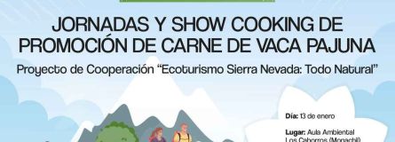 c5842b52 c4bc 4bcf a8a9 fae9a26398a3 77834998