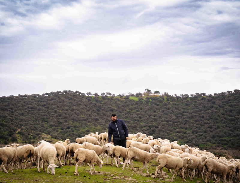 Dos proyectos de emprendimiento rural en Andalucía, premiados en el programa “Tierra de Oportunidades” de Caixabank