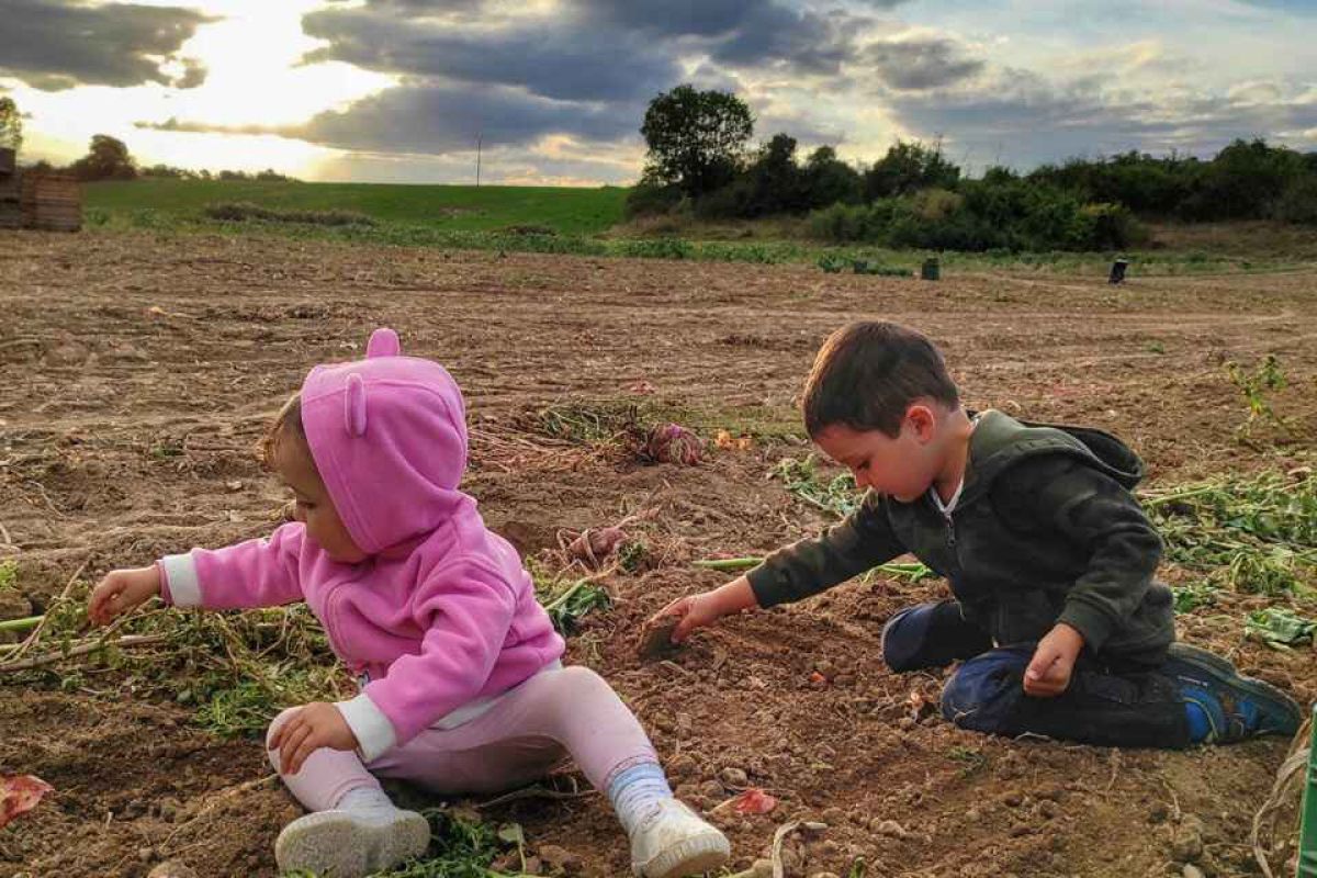 UPA felicita las fiestas navideñas con un cuento sobre los precios justos para agricultores y ganaderos