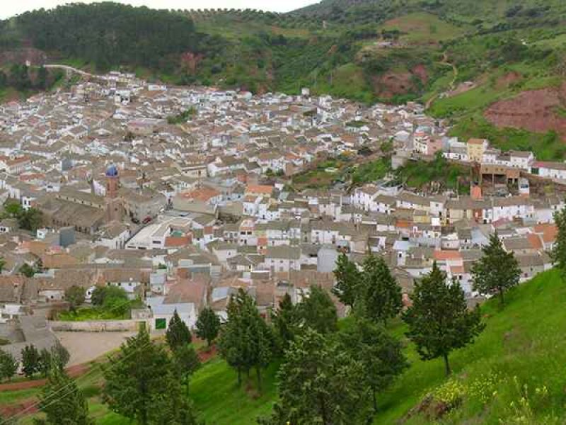 La biomasa, el 5G y las ciudades inteligentes, alternativas del  GDR Condado de Jaén