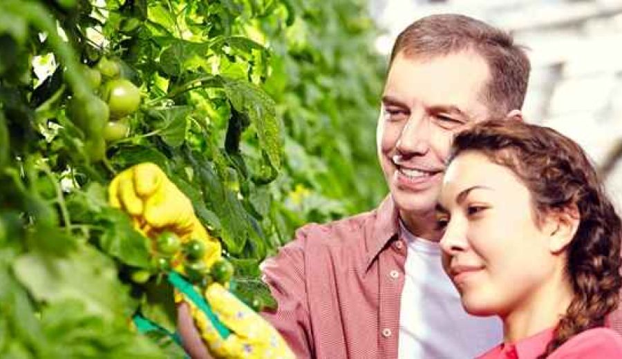 Nueva edición del programa Cultiva de formación para la juventud agroganadera