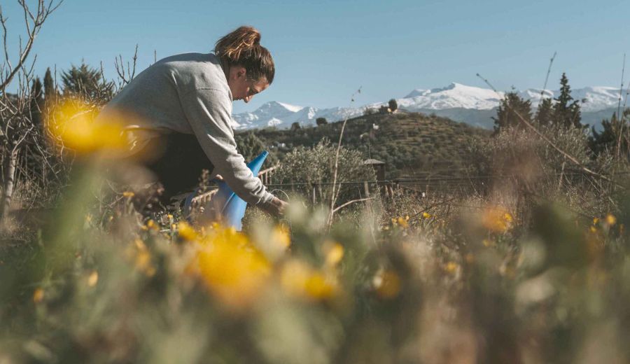 Los Grupos de Desarrollo Rural de Granada, más cerca de los fondos LEADER