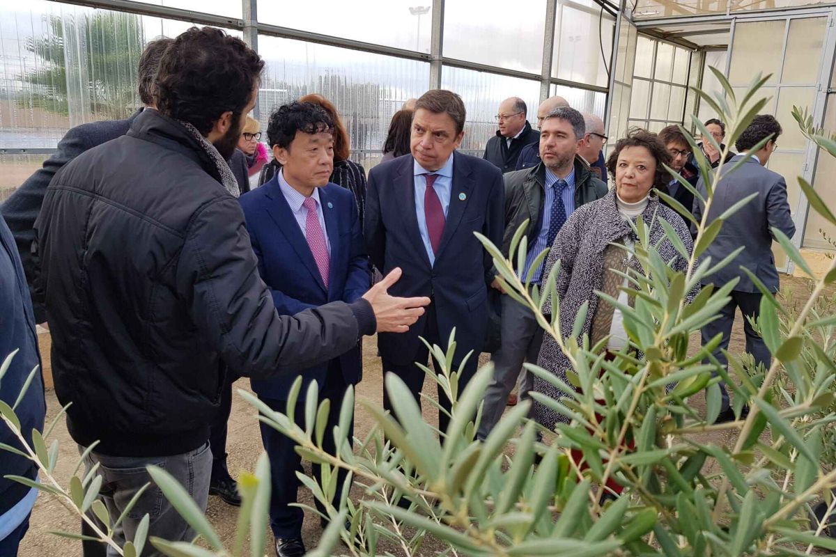 Luis Planas destaca que la innovación agroalimentaria es clave para afrontar los nuevos desafíos sociales, económicos y medioambientales