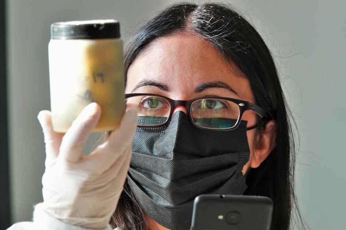 Grupos Operativos: cooperación para innovar en el medio rural