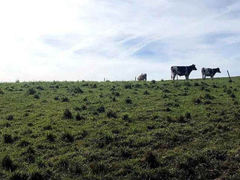 Cantabria, primera comunidad que modifica el Programa de Desarrollo Rural 2014-2020 para incorporar fondos del período de transición