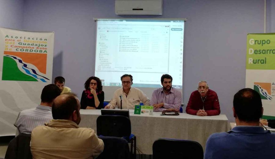 Guadajoz y Campiña Este de Córdoba, Valle del Guadalhorce, Medio Guadalquivir y Aljarafe-Doñana cooperan en un proyecto sobre energías renovables