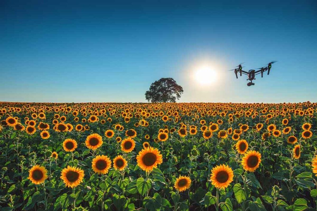 Se buscan mujeres para aprender a pilotar drones en la agricultura