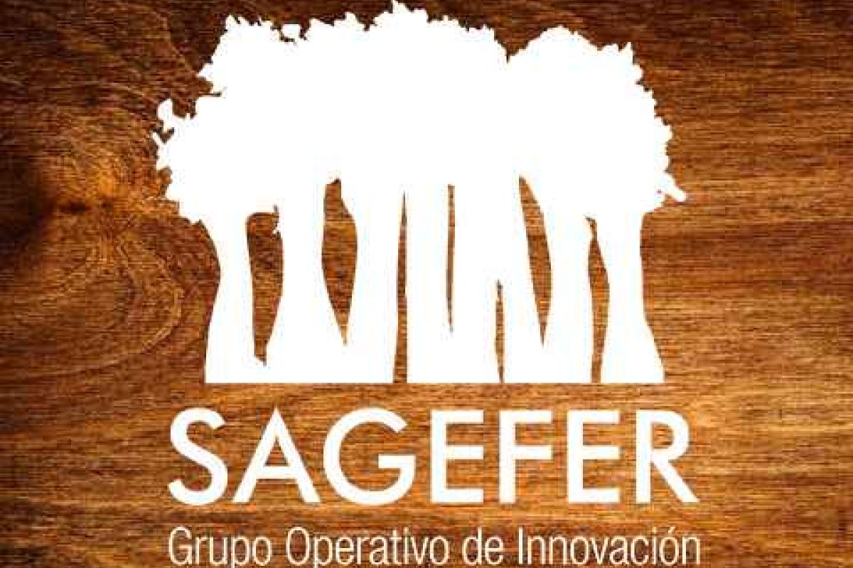 El GDR Serranía Suroeste Sevillana participa en el Grupo Operativo SAGEFER sobre desarrollo de un sistema de apoyo a la gestión forestal en red