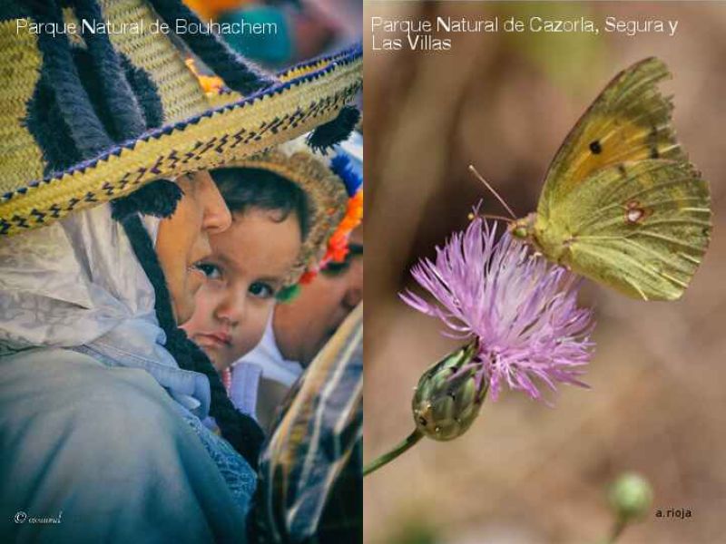 Un intercambio técnico entre Andalucía y Marruecos abordará en Cazorla el desarrollo en los espacios naturales protegidos