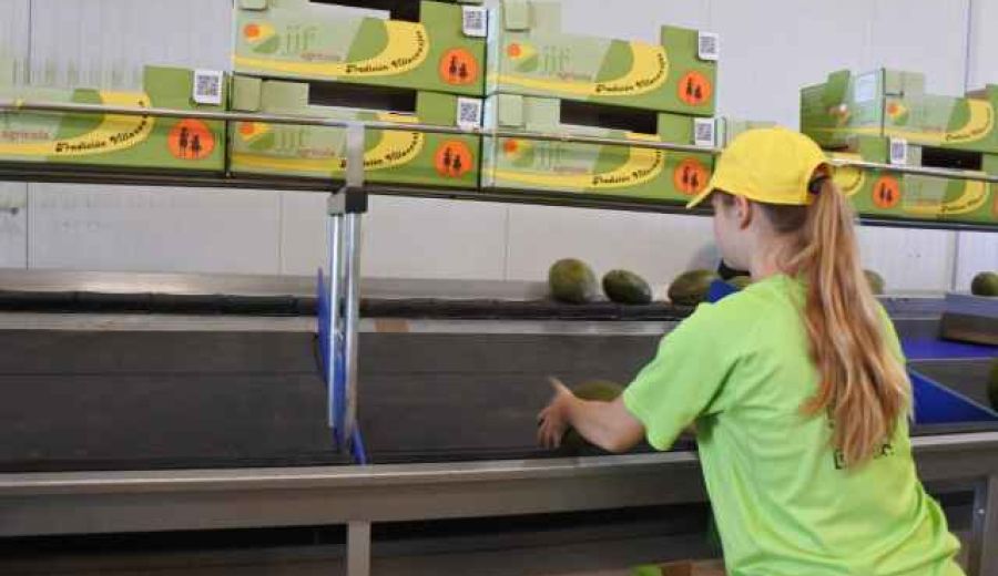 Fechas y claves para entender la desescalada en la agroalimentación y la restauración