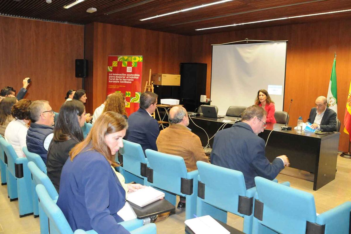 Los Grupos de Desarrollo Rural de Sevilla presentan su hoja de ruta para apoyar con LEADER nuevos proyectos