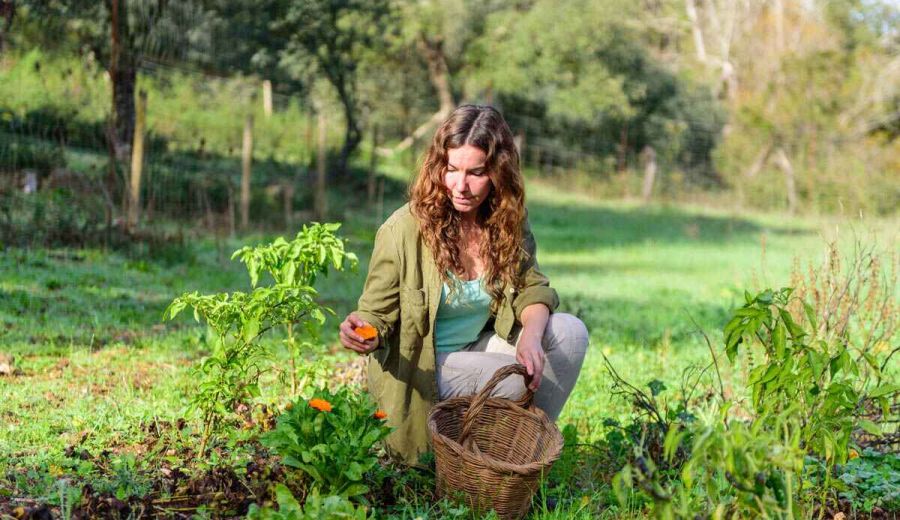 ¿Quieres que tu emprendimiento tenga ECO?