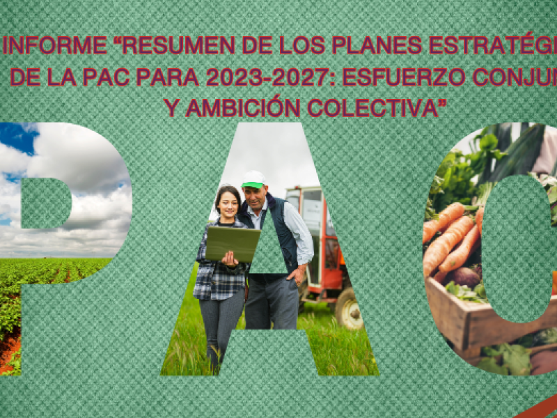 Anadir uinforme Resumen de los planes estrategicos de la PAC para 2023 2027 esfuerzo conjunto y ambicion colectivan titulo 7ed9896a