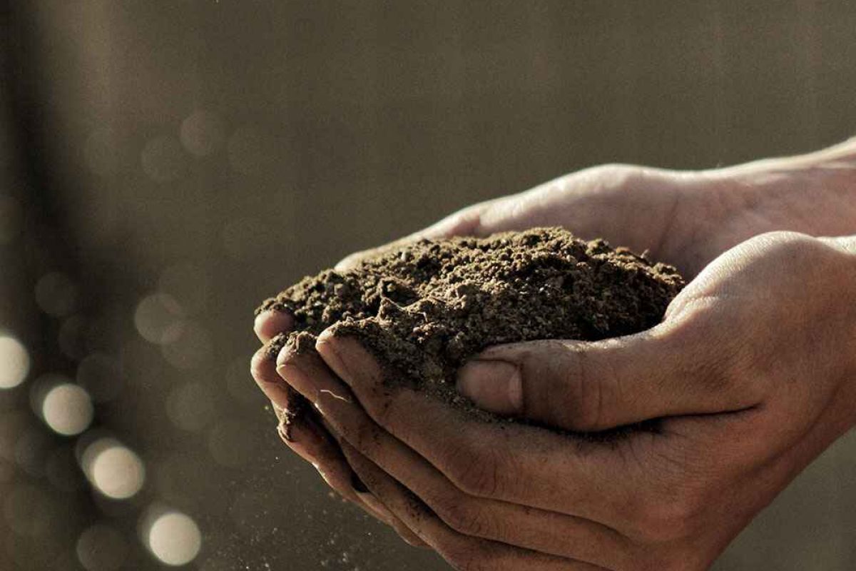 Últimos días de la convocatoria Terralimenta para los Grupos LEADER de España