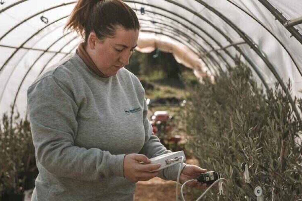 Blog Valor Rural de ARA: abierta la convocatoria de ayudas LEADER en Andalucía