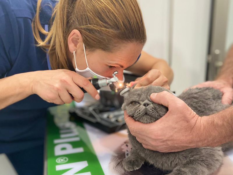 Aumentar la participación de las mujeres y juventud en los Grupos LEADER, objetivos de la PAC 2023-2027