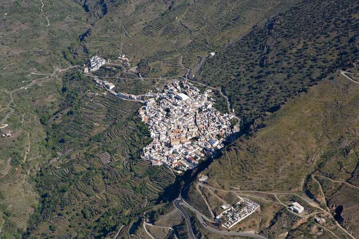 El Ministerio de Agricultura, Pesca y Alimentación inicia la consulta pública de los reales decretos que establecen la gobernanza y los mecanismos de gestión y control de la PAC