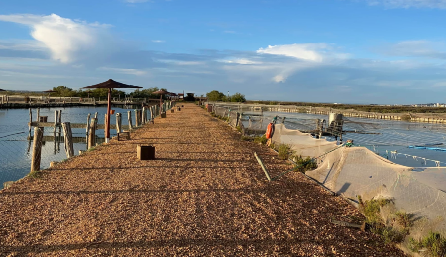 Guadiodiel impulsa con LEADER 67 proyectos en la Costa Occidental de Huelva