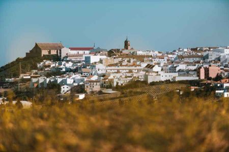 img montillla 003 80352915