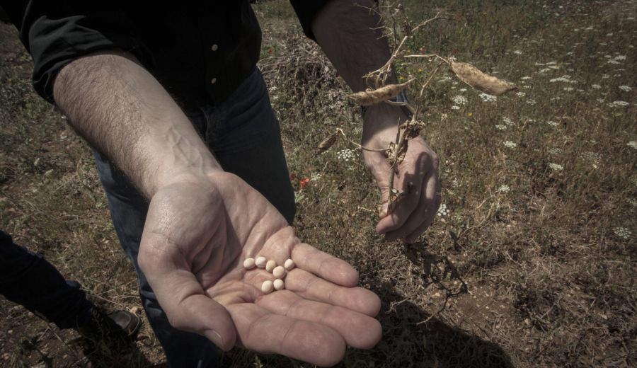 Abierta la convocatoria para participar en el programa Terralimenta