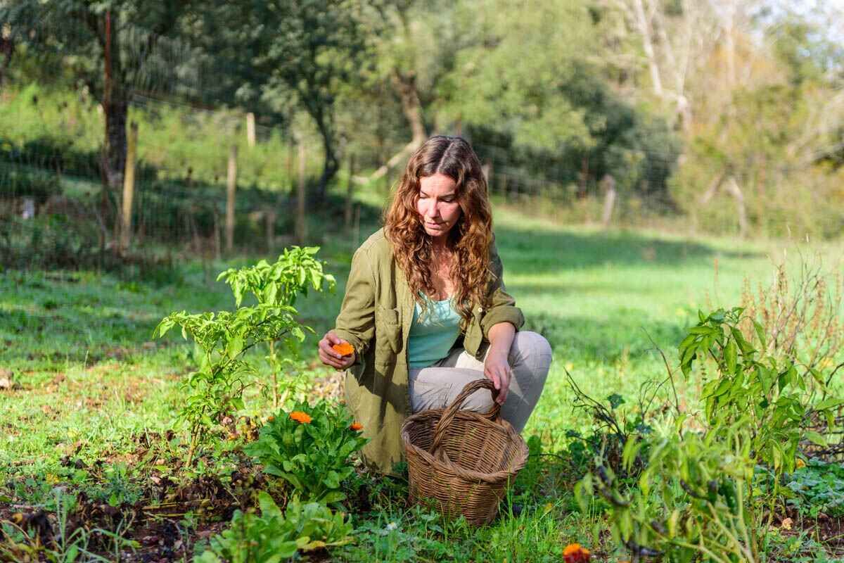 ¿Quieres que tu emprendimiento tenga ECO?