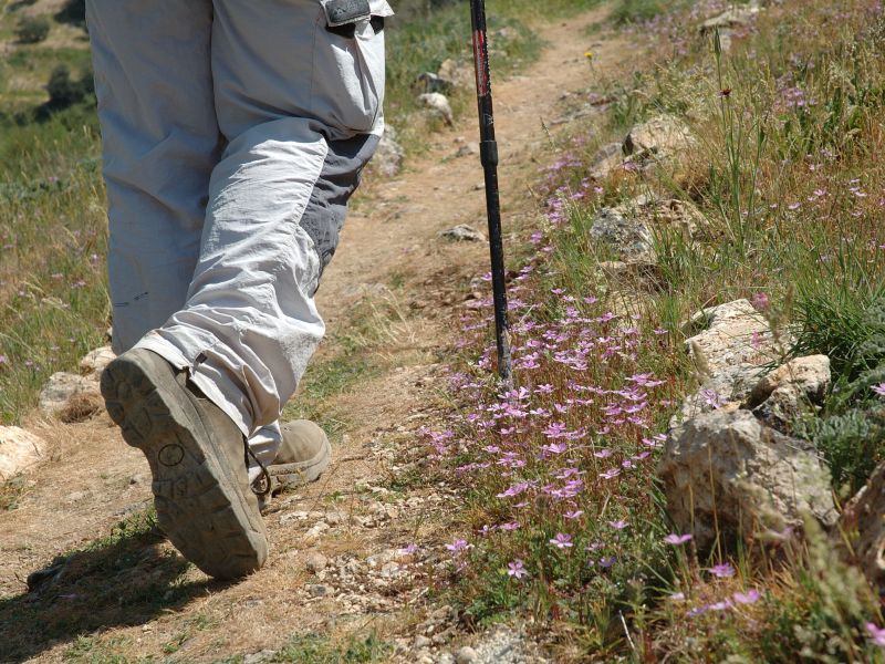 Intercambio de experiencias “Cooperación LEADER” de la Red PAC  en marzo