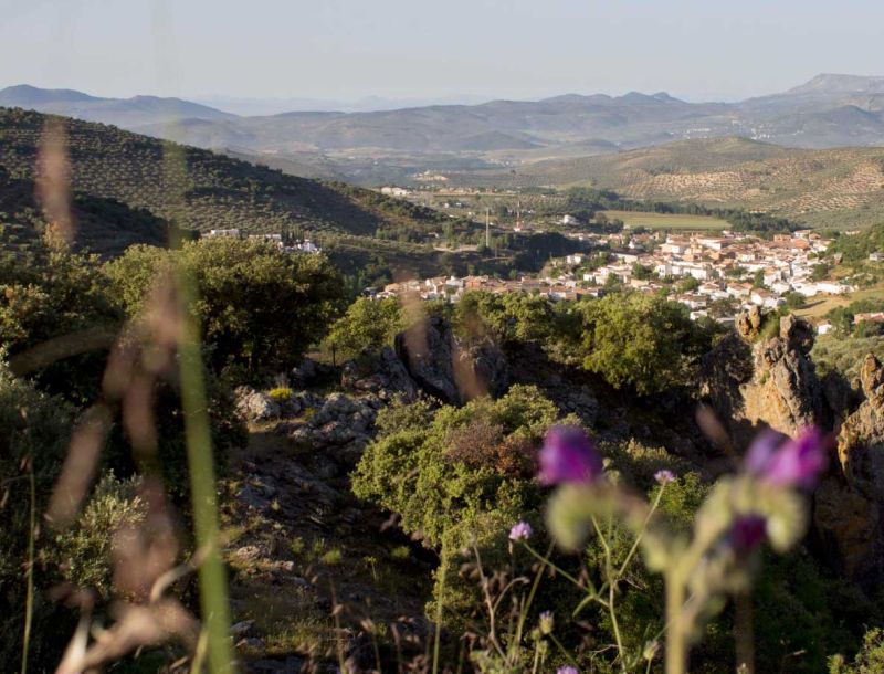 Sierra Sur de Jaén destina 3,6 millones euros de ayudas LEADER a fortalecer el tejido económico