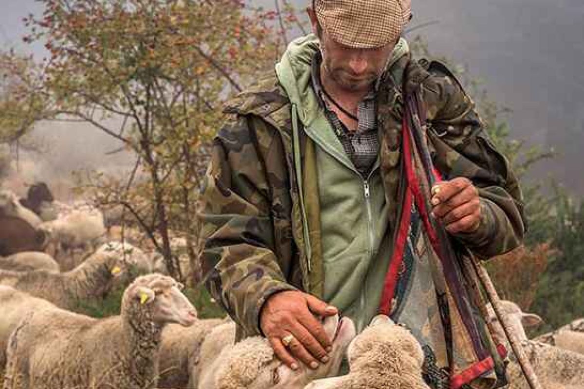 FotoRural 2020 demuestra el carácter esencial, hoy y siempre, del medio rural