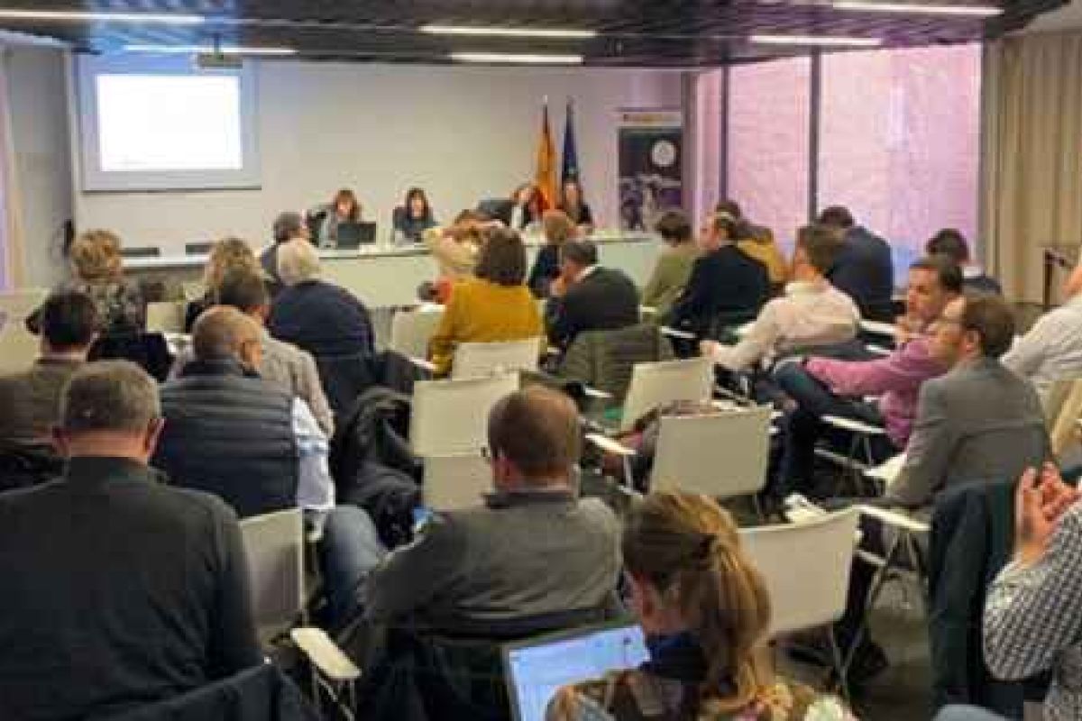 El subgrupo LEADER y el desarrollo local en el Objetivo Específico 8 de la futura PAC