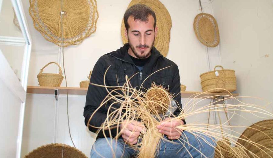 El esparto: de cultivo olvidado a alternativa sostenible al plástico