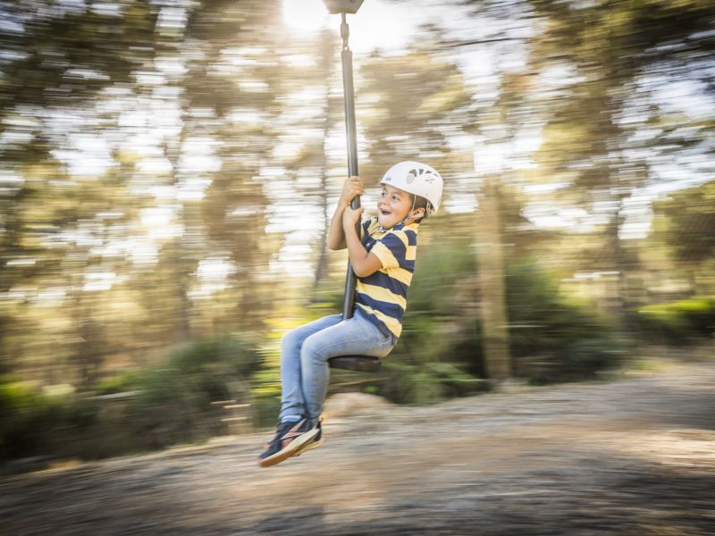 La Comisión Europea analiza el impacto de la PAC en las políticas de desarrollo rural