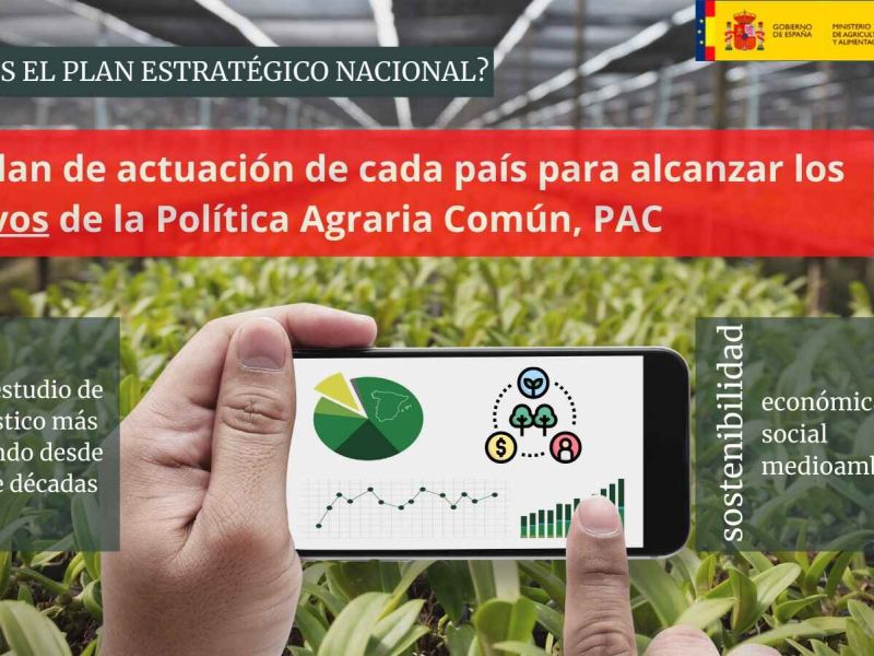Guía básica de la PAC post 2020: Plan Estratégico Nacional