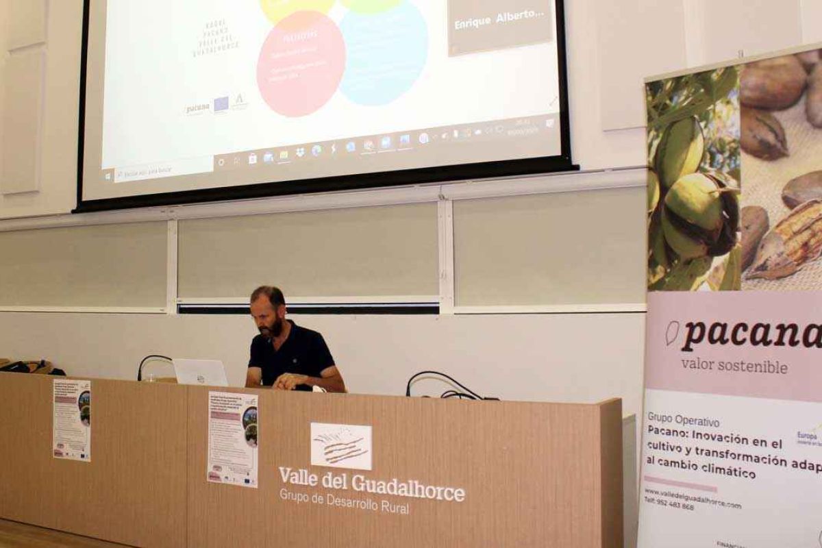 Presentación de resultados Grupo Operativo Pacano : Innovación en el cultivo y transformación adaptado al cambio climático