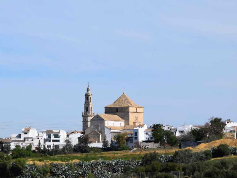 Agricultura publica ayudas LEADER a  9 proyectos en la Campiña Sur Cordobesa