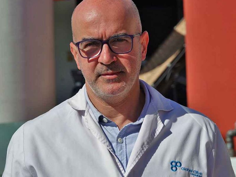 Global Olive Consulting revoluciona la producción de aceituna de mesa con la digitalización del proceso
