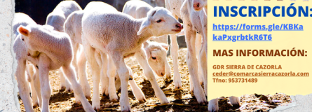 CARTEL TALLERES IGP 85fe8b98