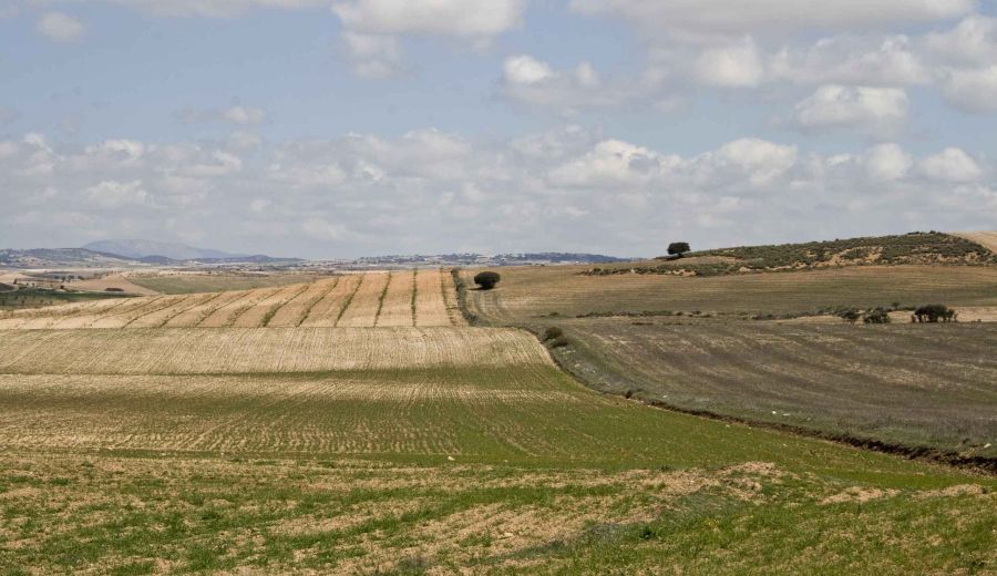 2020 acelera el proceso de “uberización” del campo español