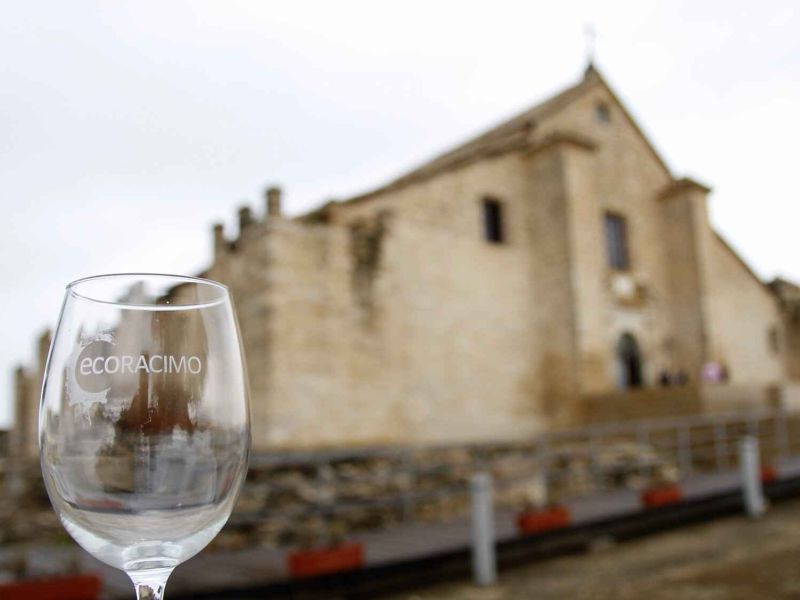 EcoRacimo reconocerá a los mejores vinos ecológicos del mundo