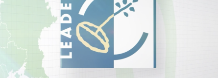 ayudasleader 861a79a1