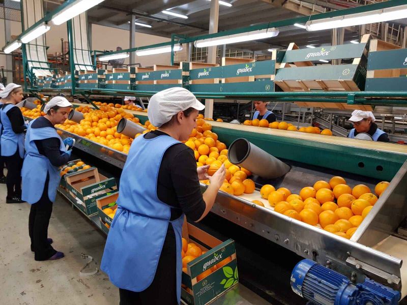 El Ministerio de Agricultura, Pesca y Alimentación apuesta por la igualdad como herramienta de futuro en el medio rural y el sector pesquero
