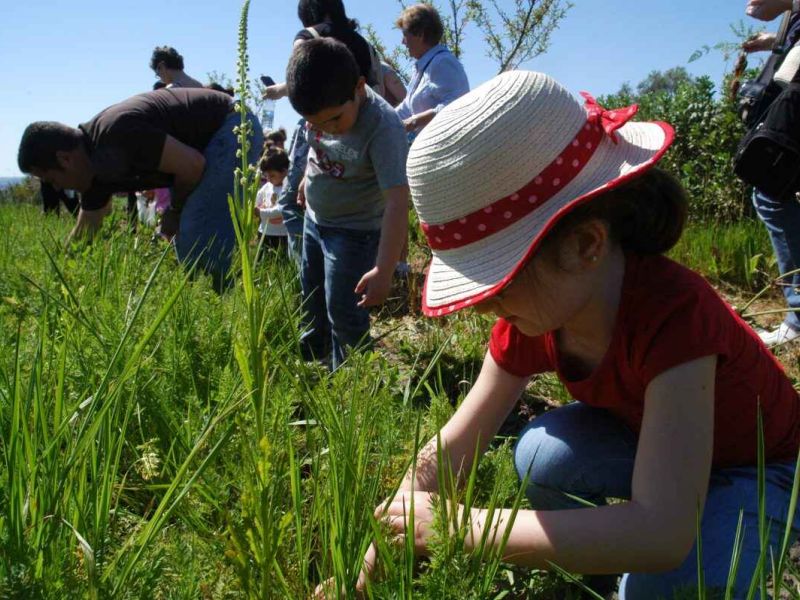 La Diputación de Burgos pide a Bruselas gestionar los fondos europeos