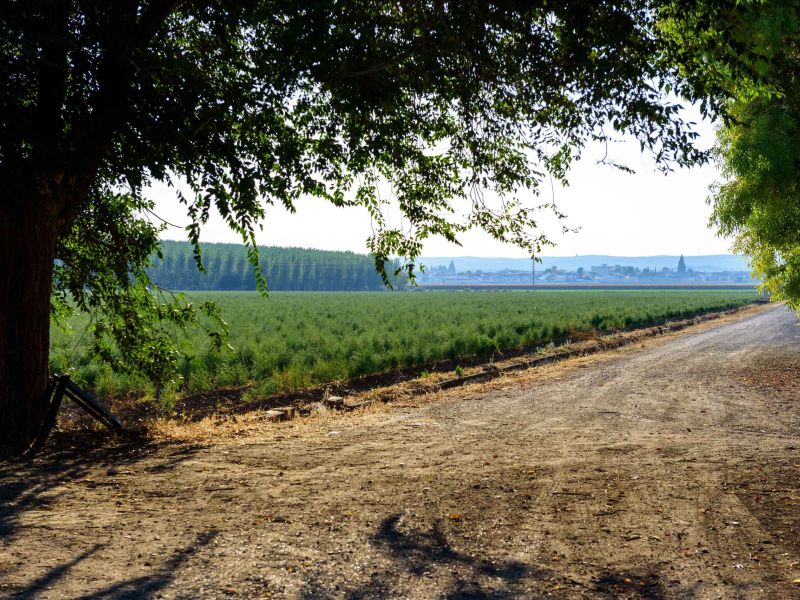 Andalucía es Rural, Andalucía es LEADER: proyectos que dan vida a lo rural