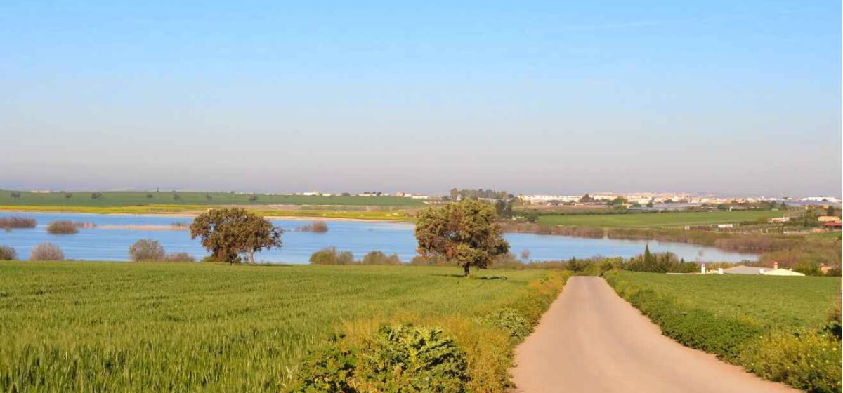 img gdr bajo guadalquivir 87efd0f1