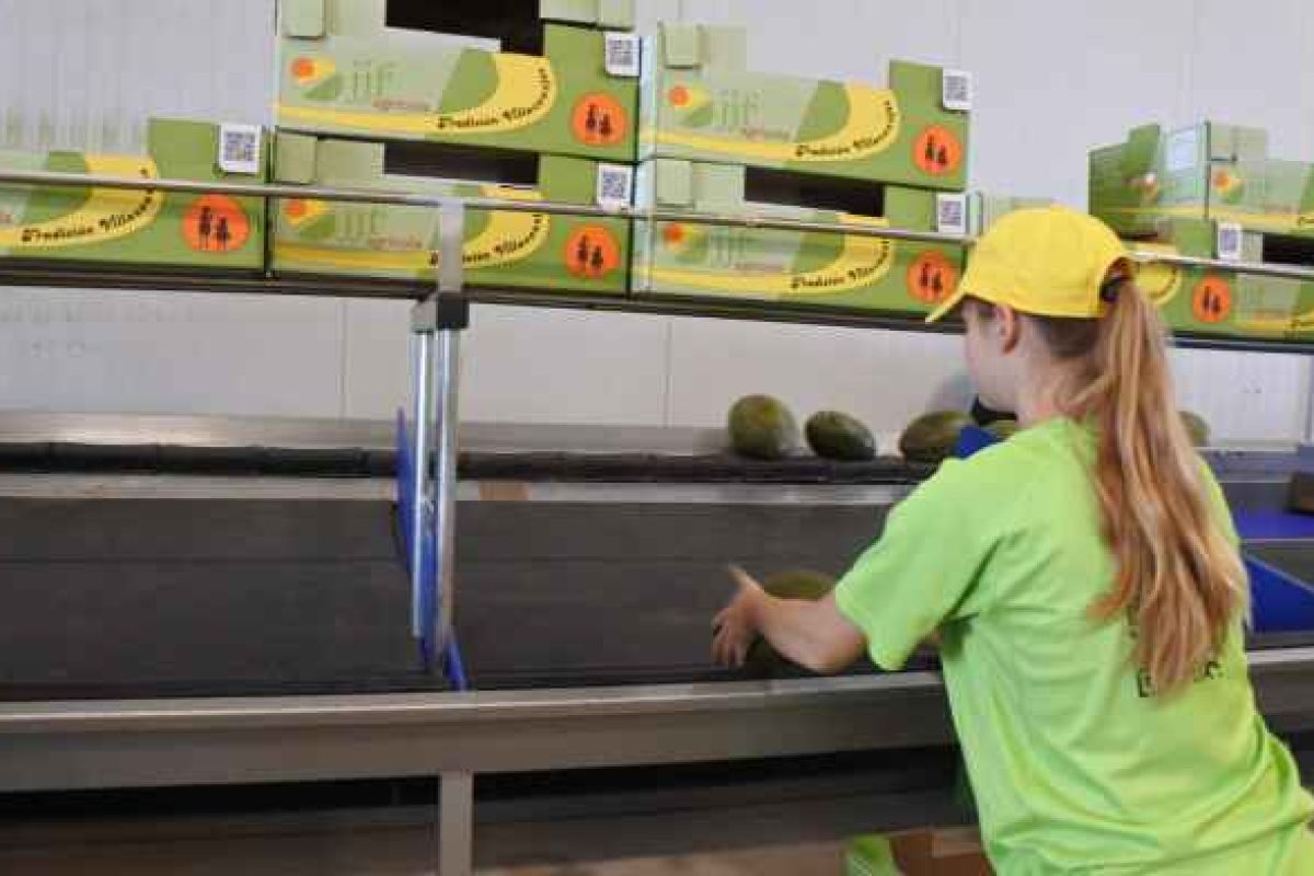 Mujeres rurales, el corazón de nuestros pueblos