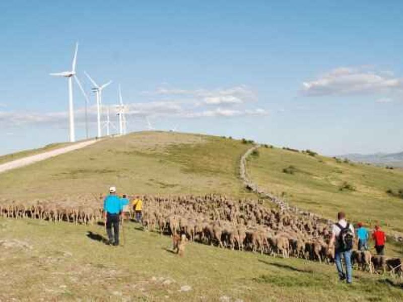 “La España vaciada” congregará a 100.000 personas en Madrid