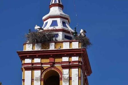 67 8999d9bb