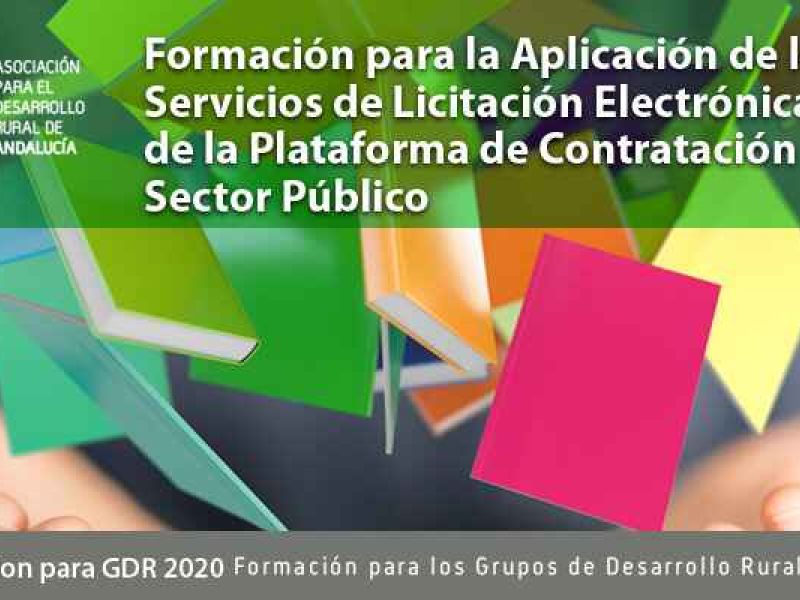 Curso para la Aplicación de los Servicios de Licitación electrónica a través de la Plataforma de Contratación del sector público