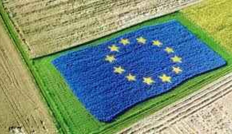 Documentos del Ministerio de Agricultura sobre necesidades y diagnóstico de LEADER post 2020 para el Plan Estratégico Nacional