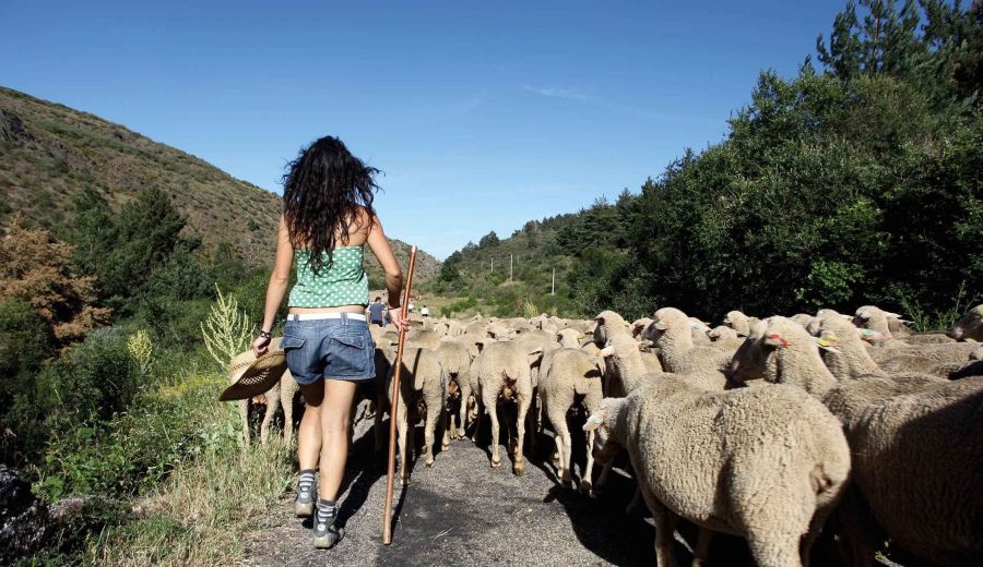 Acceso a la tierra, financiación y formación, pilares del relevo generacional en el medio rural